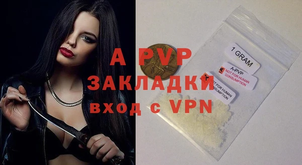скорость Новозыбков
