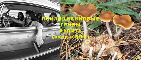 герыч Новокубанск