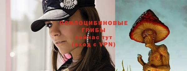 герыч Новокубанск