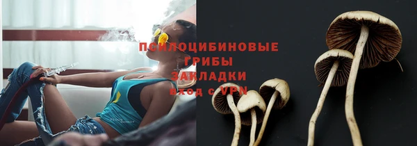 скорость Новозыбков