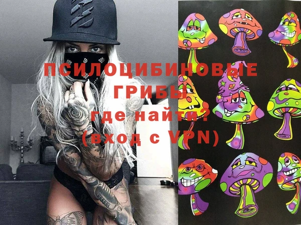 скорость Новозыбков