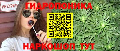 гидра Камышлов