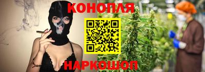 гидра Камышлов