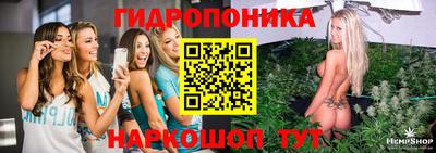 соль ск Канаш
