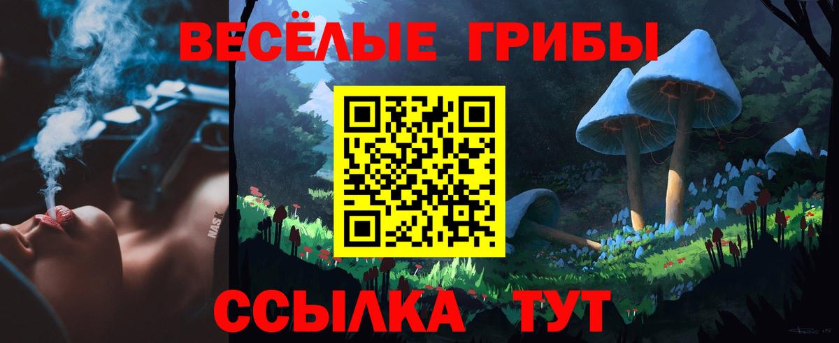 Псилоцибиновые грибы GOLDEN TEACHER  Вход с VPN  Кисловодск  Галлюциногенные грибы MAGIC MUSHROOMS 
