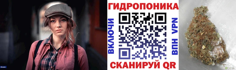 Каннабис планчик  Кисловодск 